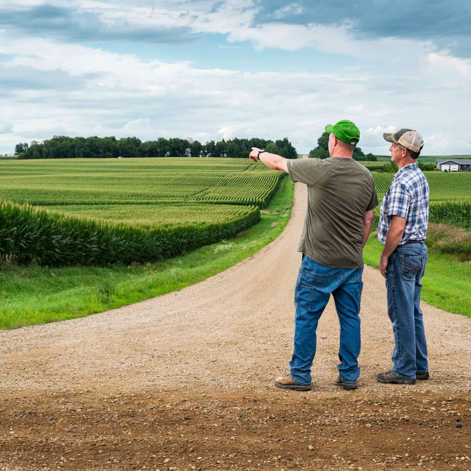 Two men standing in a dirt road, pointing out over a cornfield.