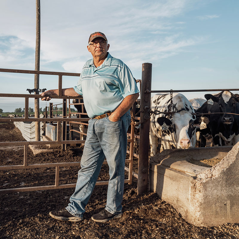Man standing in front of cows behind a fence.