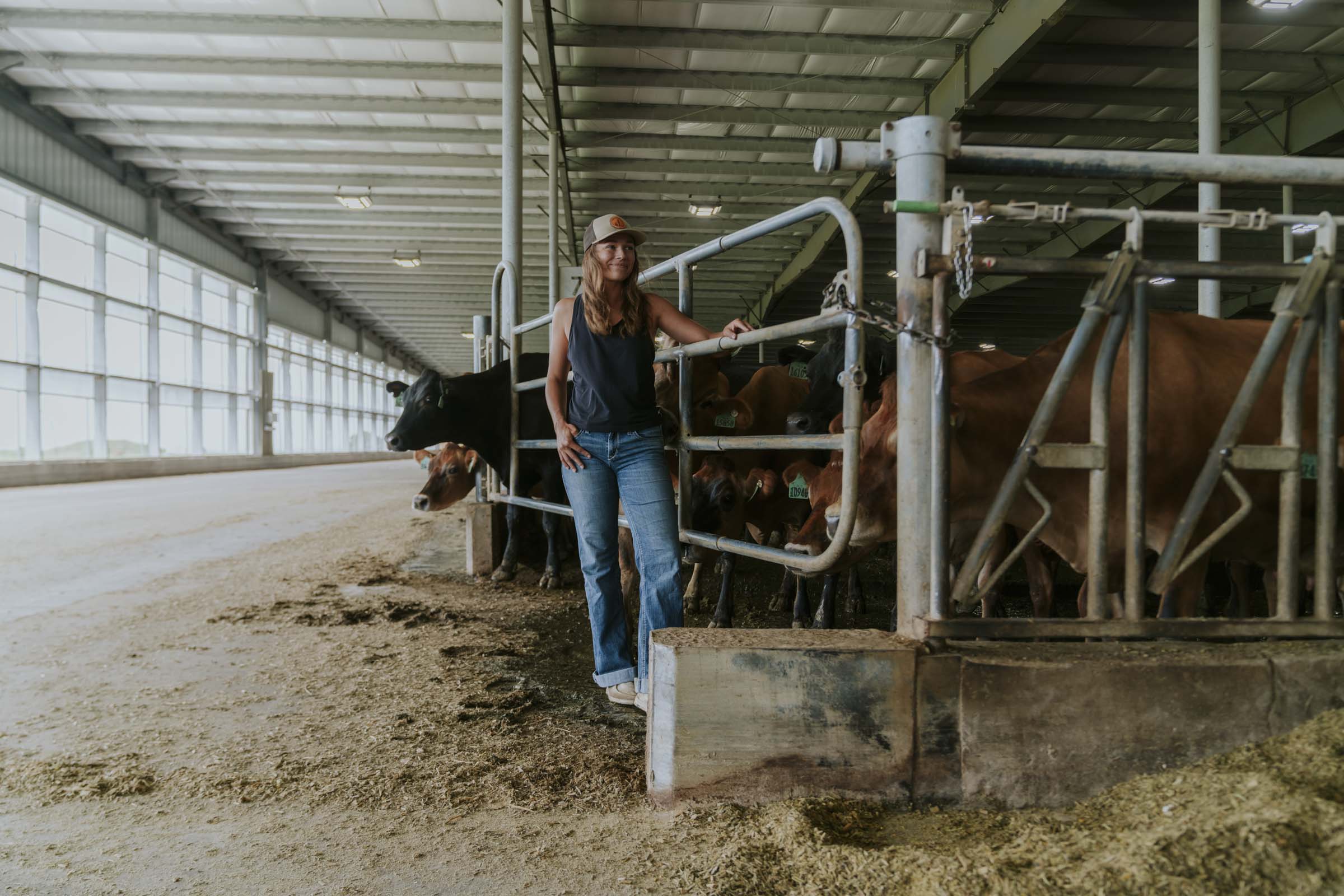 Woman in barn with cows.