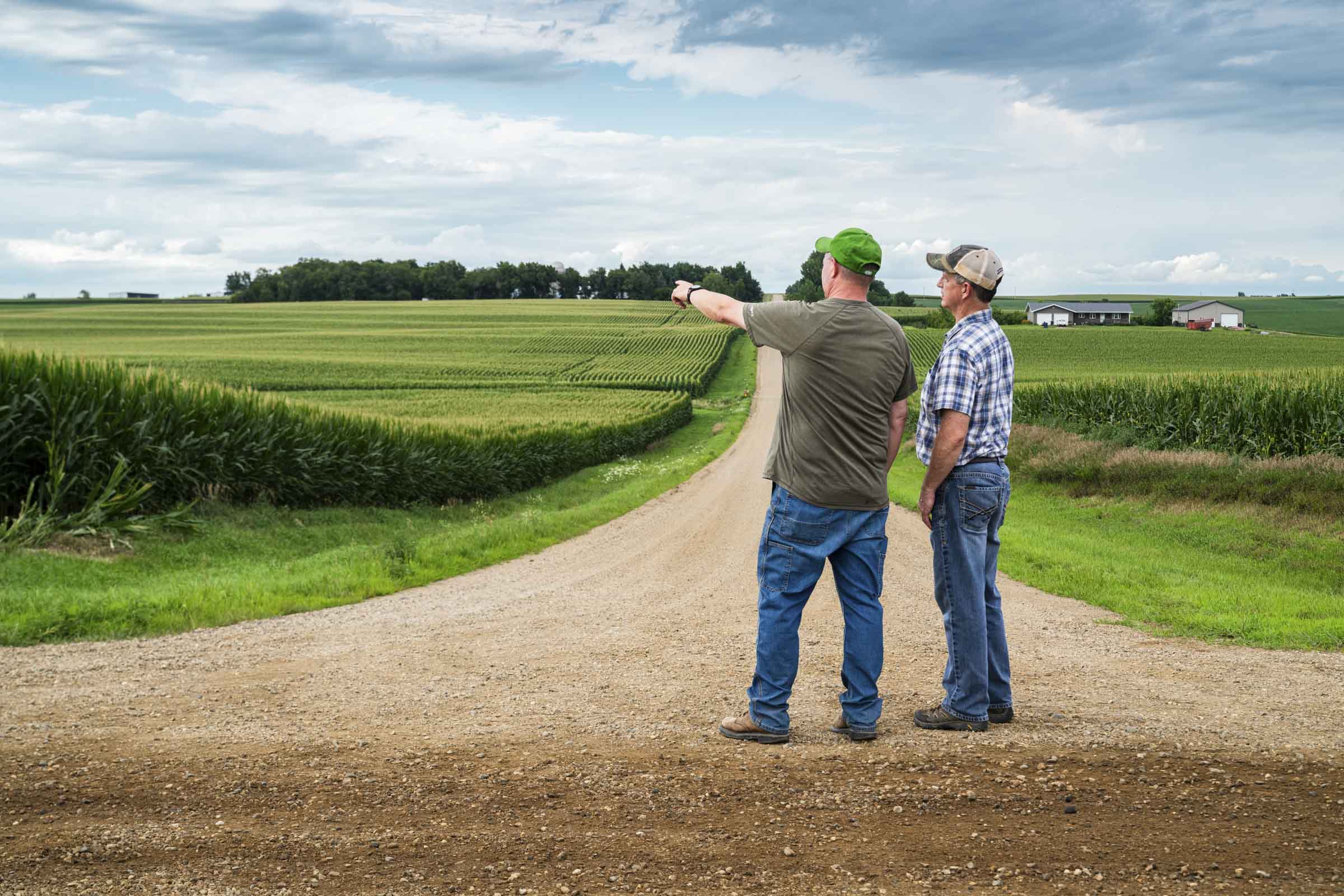 Two men standing in a dirt road, pointing out over a cornfield.