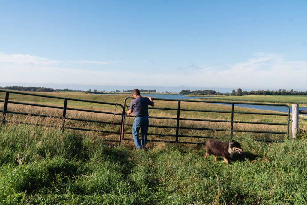 Farmer working on a fence in a field with a border collie. Blue skies in the background.