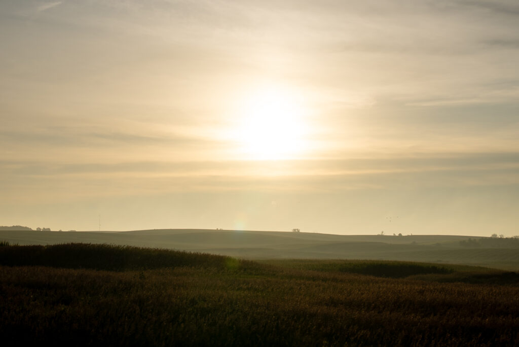 Golden sunrise over rolling prairie hills and farmland with soft morning light across tall grass.