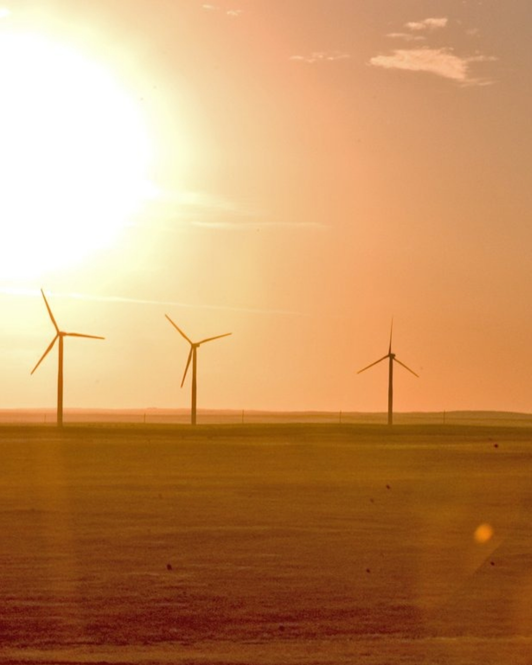 Board Approves Investments in Research Innovation and Energy Development